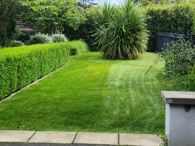 Professional lawn mowing service with precise edge trimming