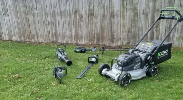 Professional lawn mowing service showing a freshly cut garden