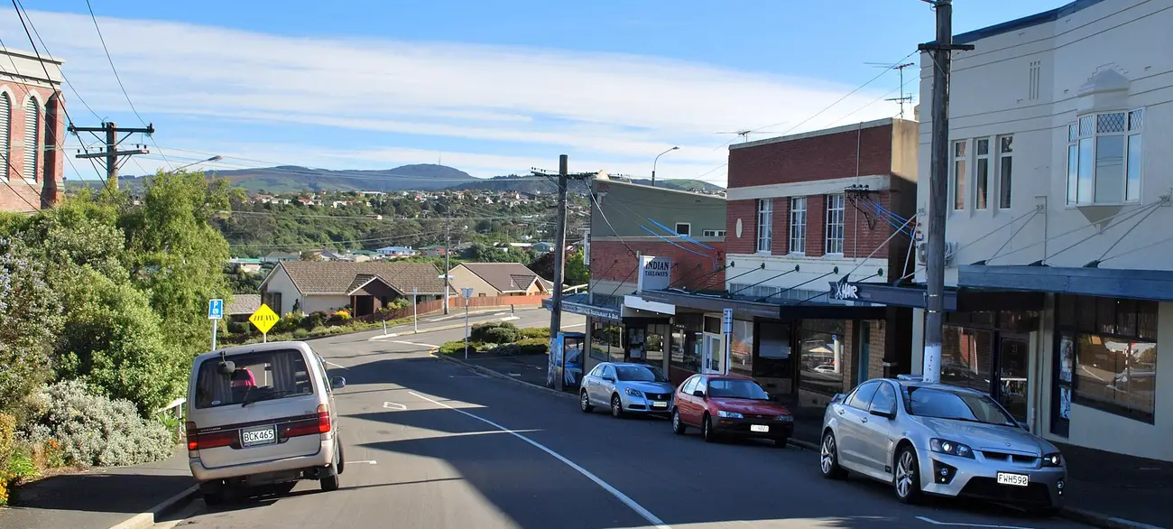 Andersons Bay shops and hillside view in Dunedin